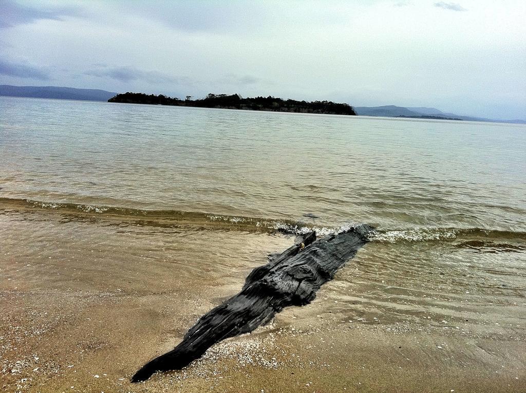 Discover Bruny Island Holiday Accommodation Alonnah Esterno foto