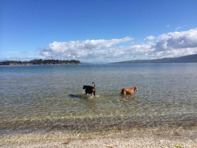 Discover Bruny Island Holiday Accommodation Alonnah Esterno foto