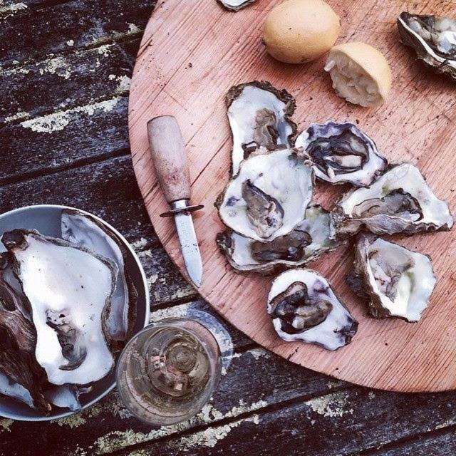 Discover Bruny Island Holiday Accommodation Alonnah Esterno foto